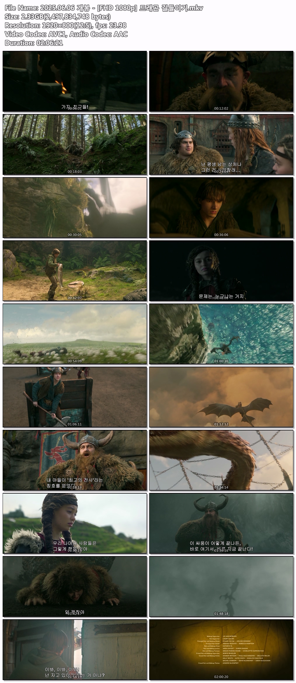 2025.06.06 개봉 - [FHD 1080p] 드래곤 길들이기