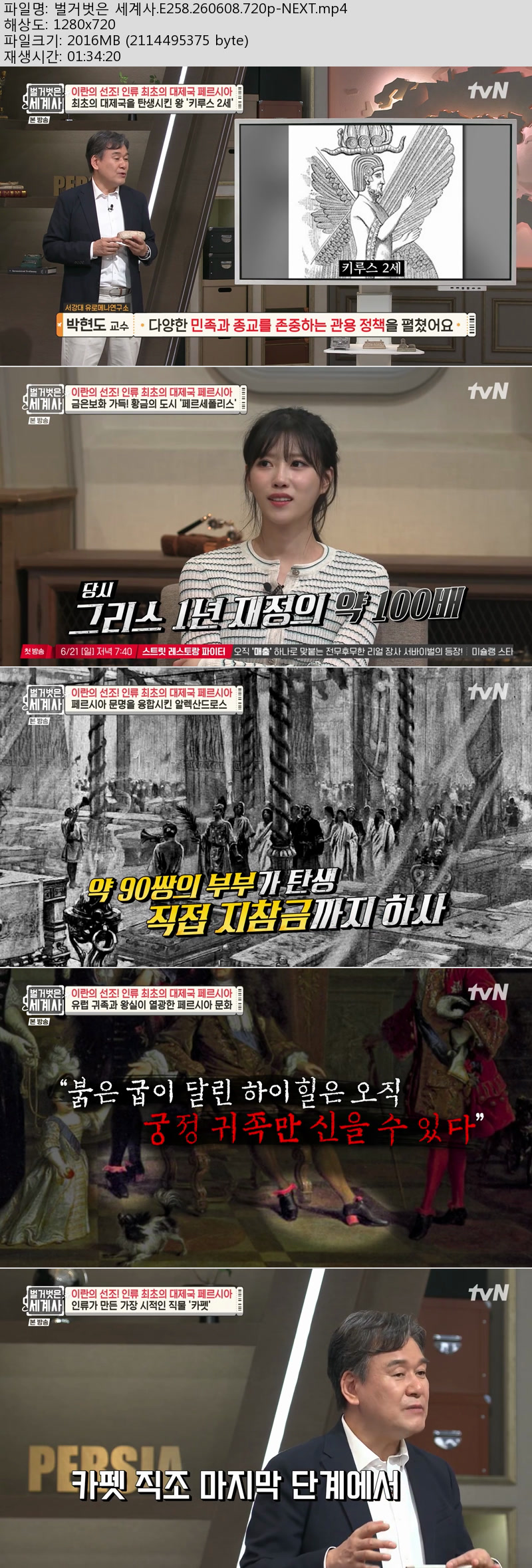 벌거벗은 세계사.E258.260608.720p-NEXT