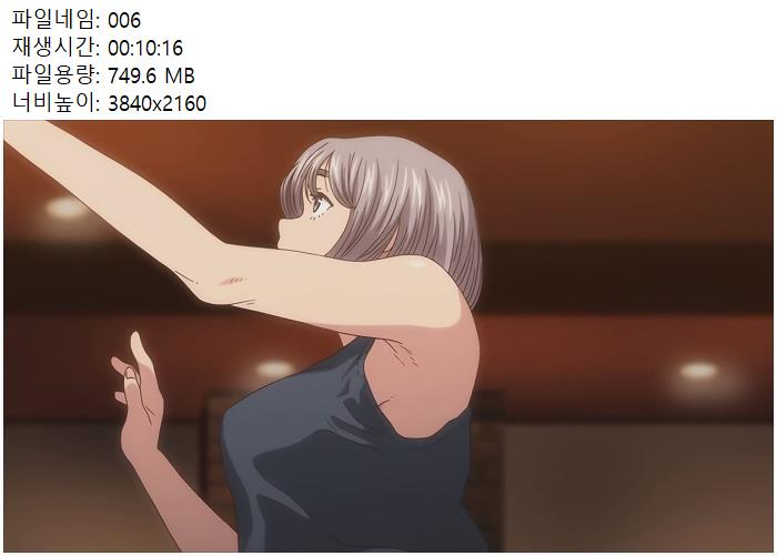 19애니 720 자막 하이볼한잔더