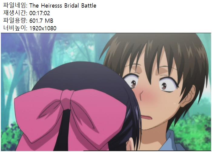 The Heiresss Bridal Battle