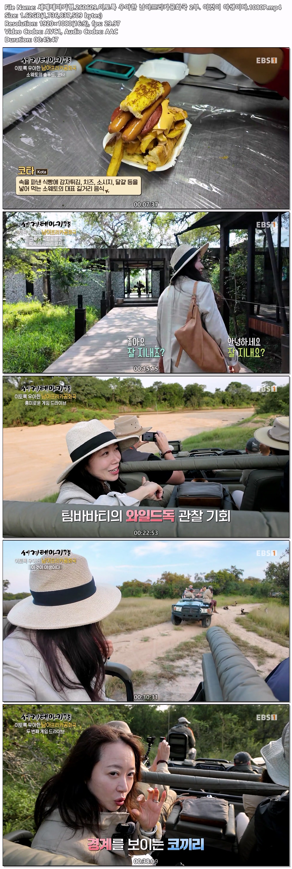 세계테마기행.260609.이토록 우아한 남아프리카공화국 2부.1080P