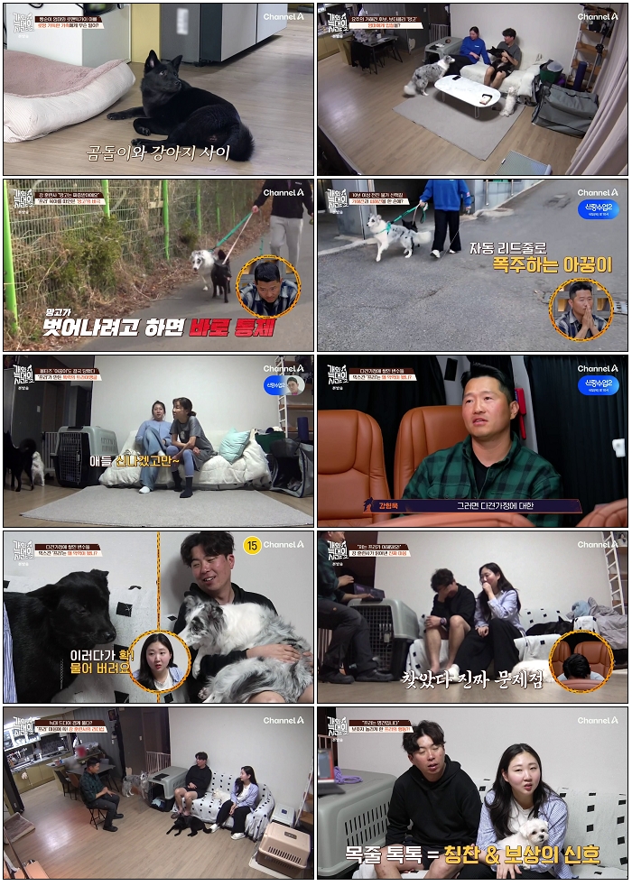 개와 늑대의 시간 2.E21.260610.720p-NEXT