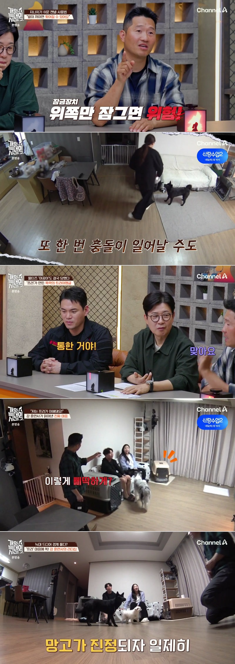 개와 늑대의 시간 시즌2.E21.260610.1080p.H264-F1RST
