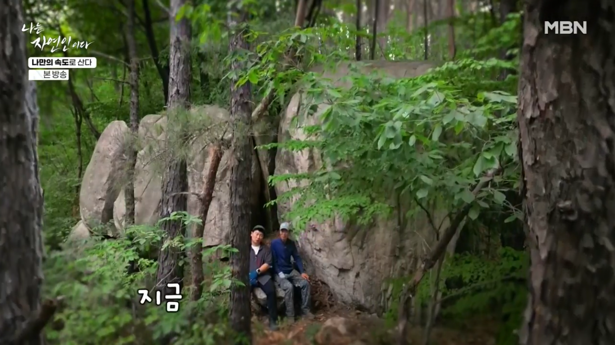 나는 자연인이다.E712.260608.720p-NEXT