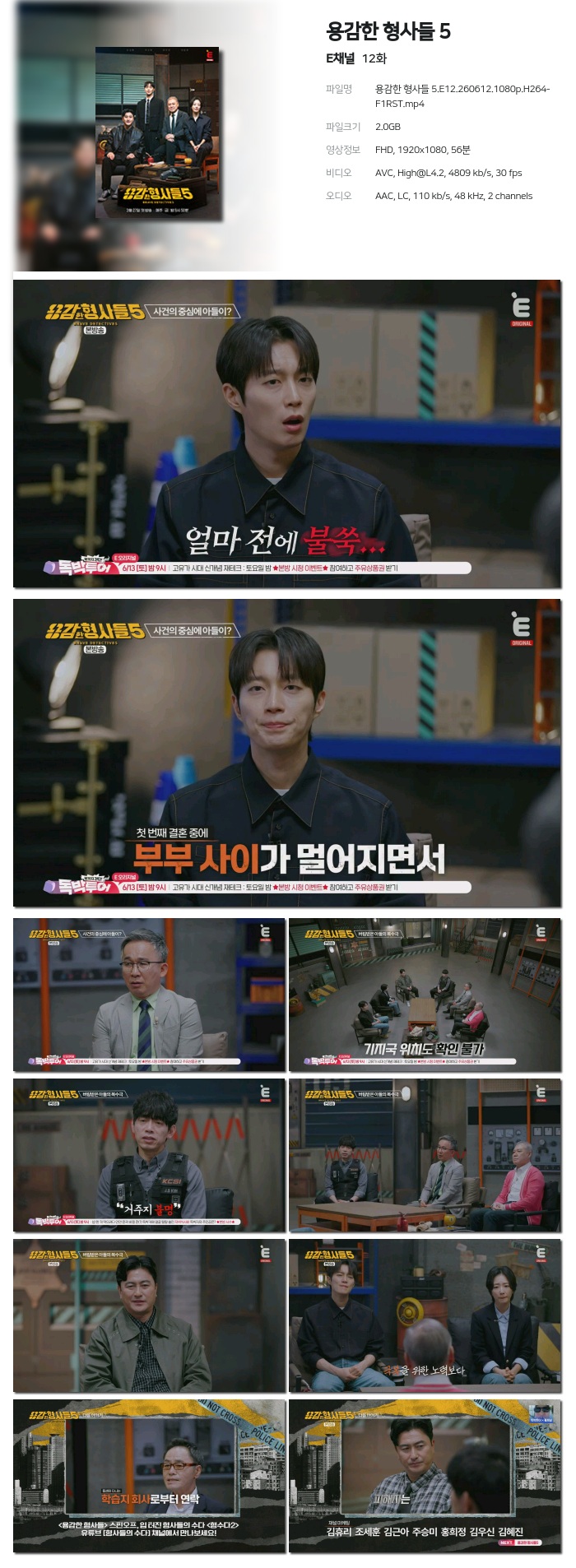 용감한 형사들 5.E12.260612.1080p.H264-F1RST